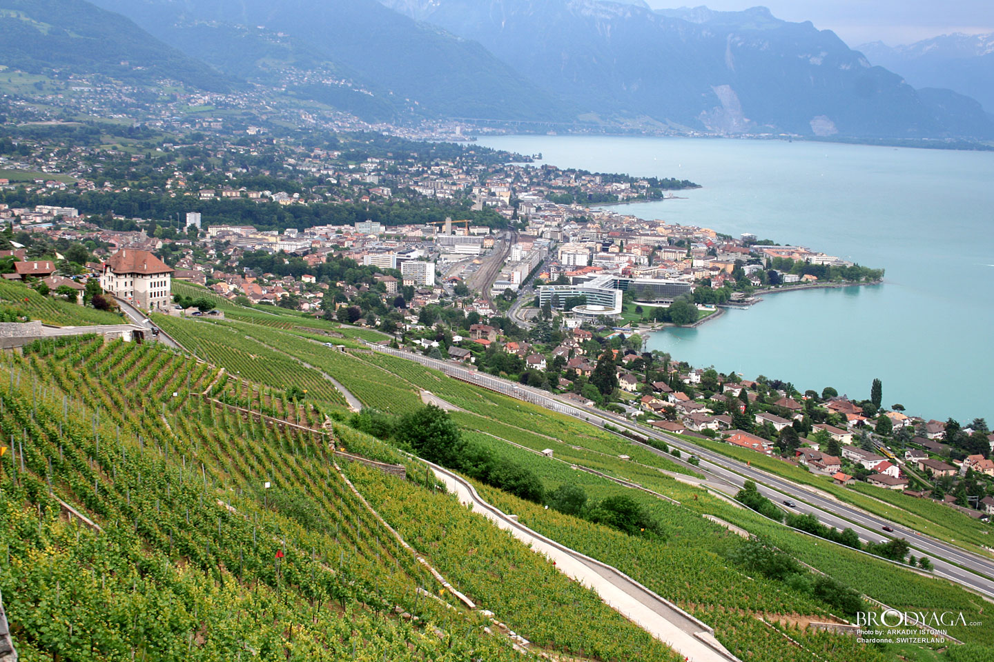 Chardonne
